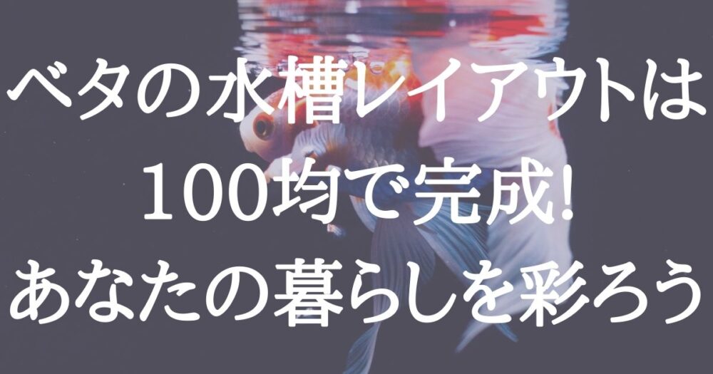 ベタの水槽レイアウトは100均で完成 あなたの暮らしを彩ろう 日常コレクション